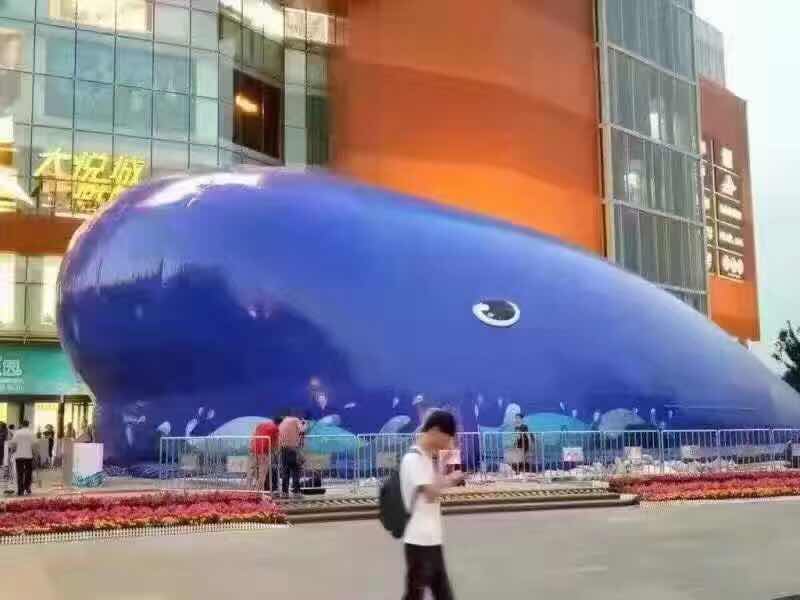 南京大藍鯨 百萬海洋球與充氣城堡，打造藍鯨市集童話盛宴